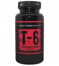T6 Fatburner T6 Labs Zion ECA Stack Zion Labs